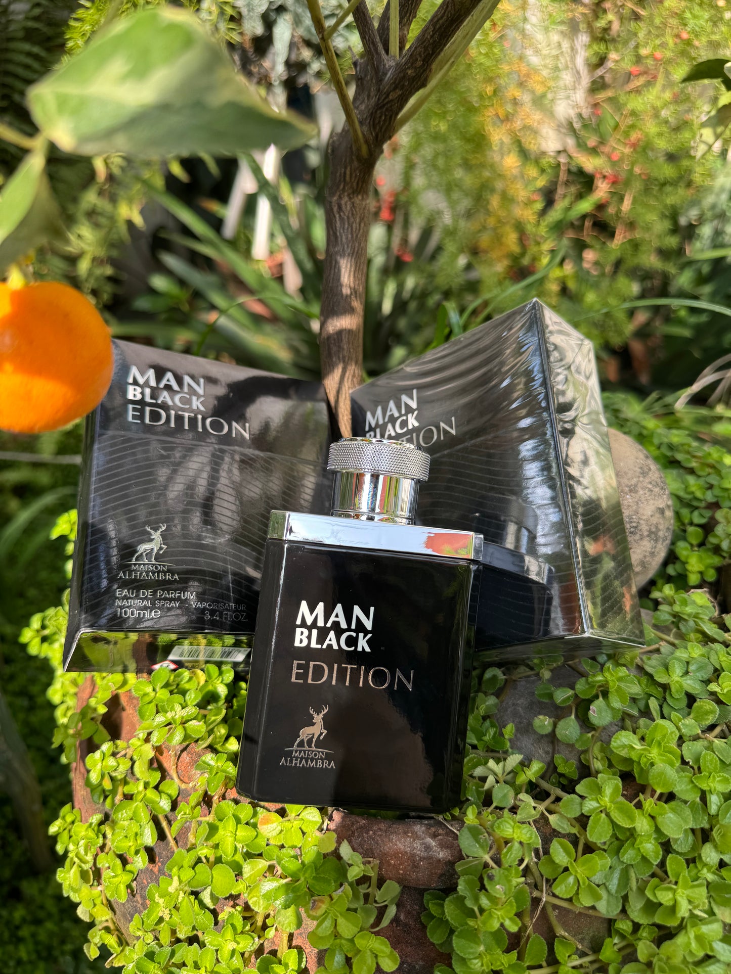 Maison Alhambra Man Black Edition