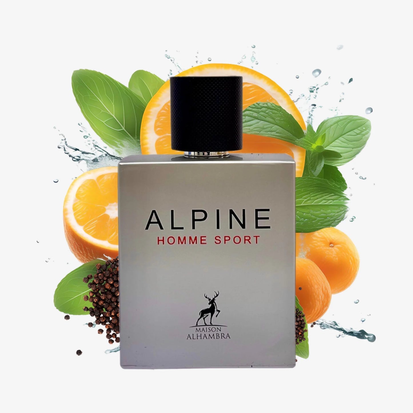 Maison Alhambra Alpine Homme Sport